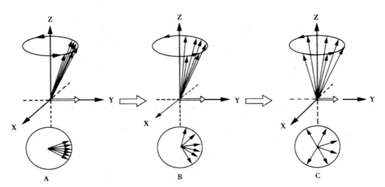 Low Field NMR Technology: A Powerful Analytical Tool - Articles - 2