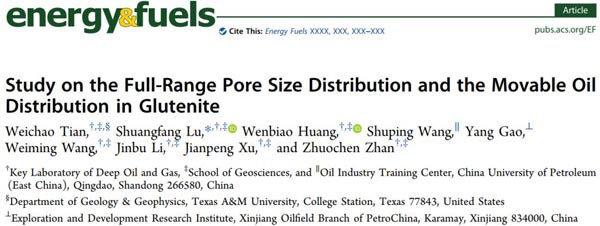 Study on the Full-Range Pore Size Distribution and the Movable Oil Distribution in Glutenite-Part1 - Blog - 1