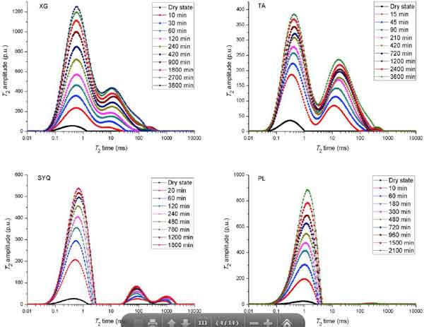 NMR Magnetism Reveals the Dynamic Self-Permeation Process—Part 2 - Blog - 1