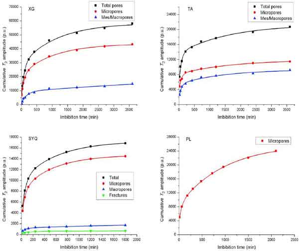 NMR Magnetism Reveals the Dynamic Self-Permeation Process—Part 2 - Blog - 2