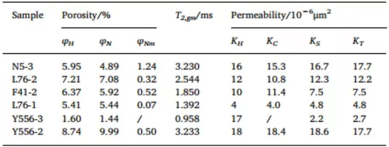 Analysis of pore permeability of oil-bearing shale assisted by NMR-Part 1 - Blog - 2