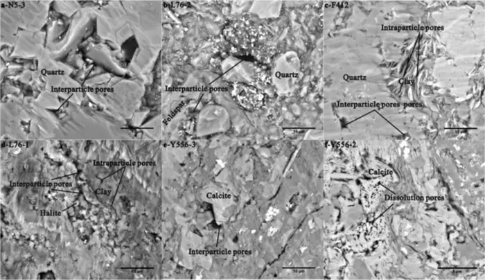 Analysis of pore permeability of oil-bearing shale assisted by NMR-Part 1 - Blog - 3