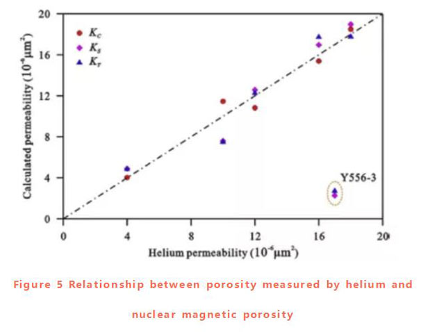 Analysis of pore permeability of oil-bearing shale assisted by NMR-Part 2 - Blog - 10