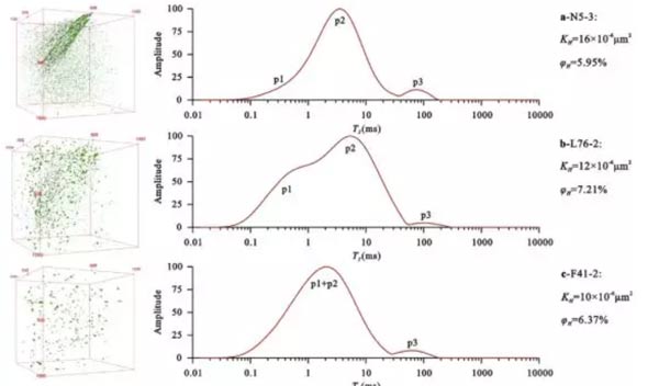 Analysis of pore permeability of oil-bearing shale assisted by NMR-Part 3 - Blog - 1