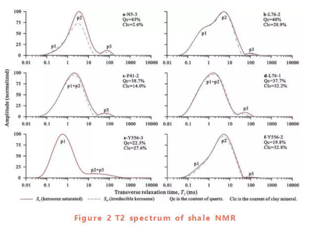 Analysis of pore permeability of oil-bearing shale assisted by NMR-Part 2 - Blog - 1