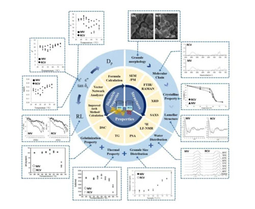 Review: Review the microwave response of starch structure from the perspective of dielectric properties - Blog - 1