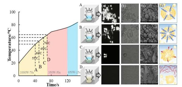 Review: Review the microwave response of starch structure from the perspective of dielectric properties - Blog - 4