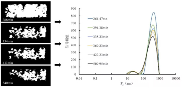 Introduction of NMR in Rock Physics - Blog - 10