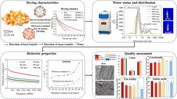 Application of LF-NMR Technology in the Study of Moisture Migration during Food Drying Process - Articles - 1